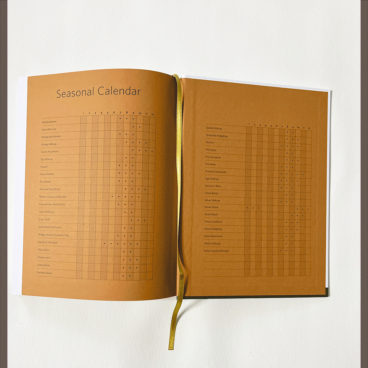 Sami Tallberg Foragers Cookbook FUNGHI book animation gif