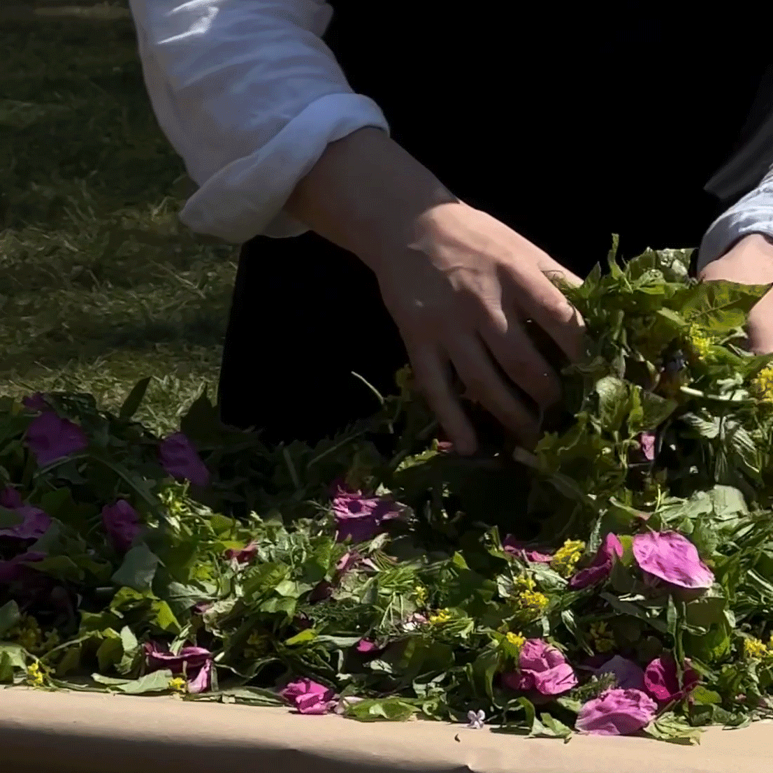 Sami Tallberg x Lotta Petronella Helsinki Biennial 2023