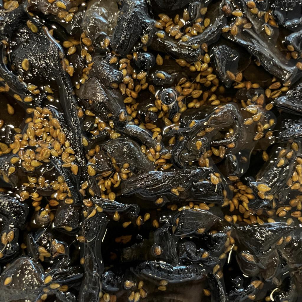 Funghi pop up dinner Sami Tallberg x Martin Bergström at Koski & Syvärinen Studios