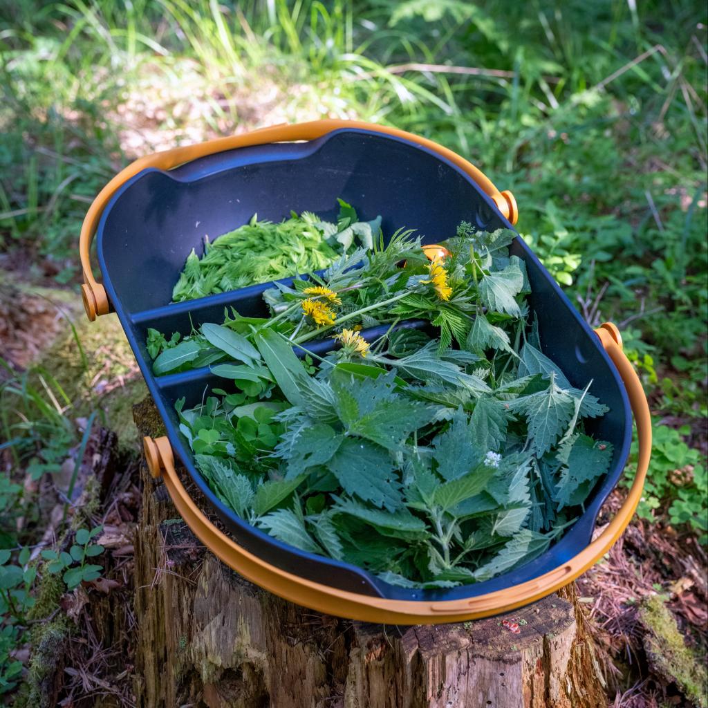 Sami Tallberg foraging in Finland
