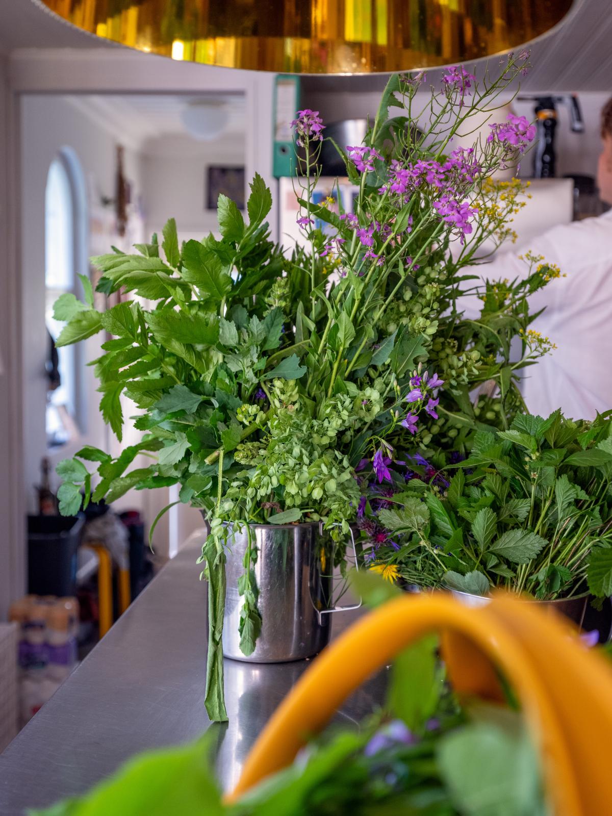 Ateljé Sami Tallberg Finnish Chef Forager