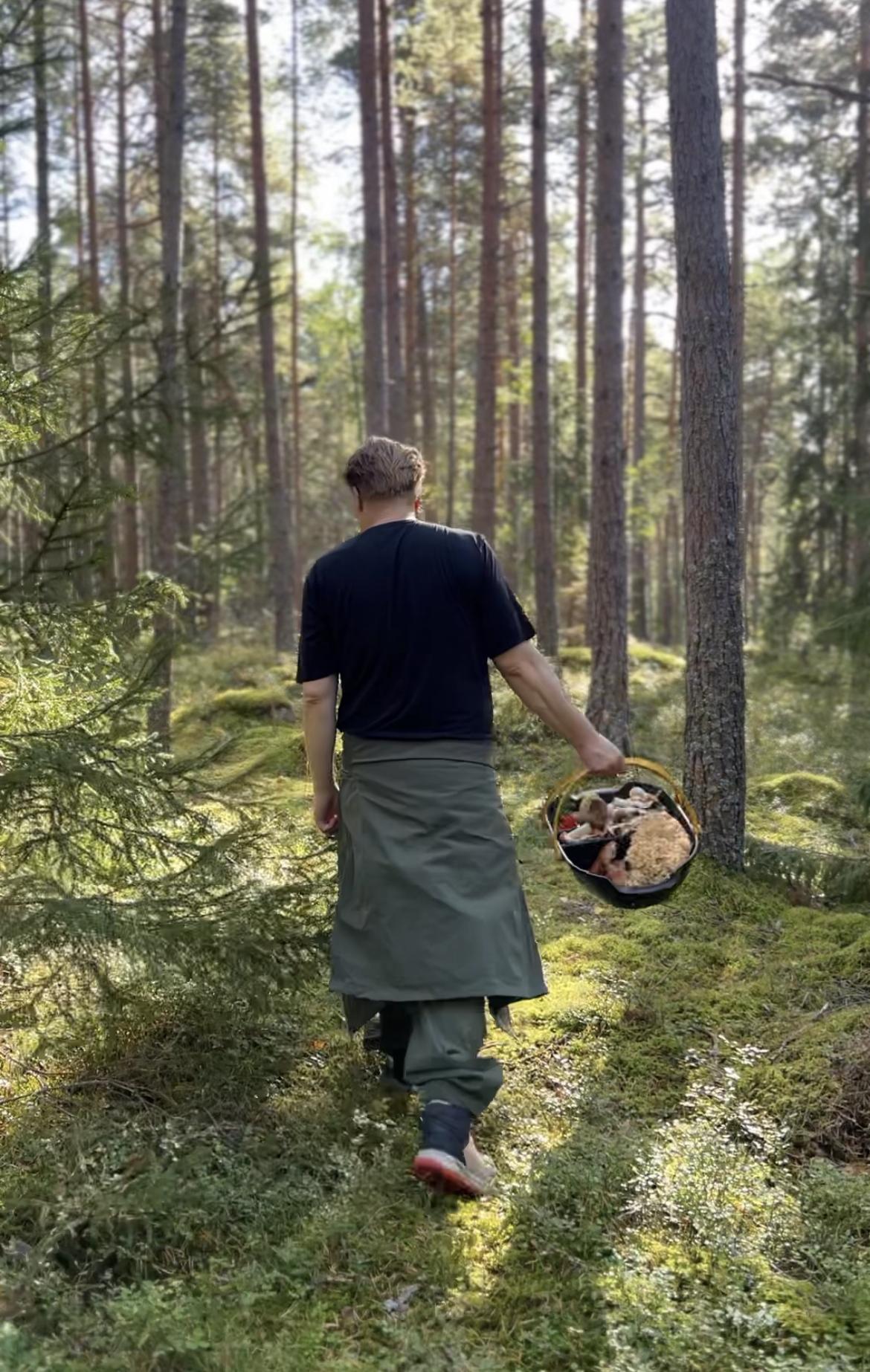 SAMI TALLBERG SIENIKURSSI VARAA TÄSTÄ FORAGING WILD MUSHROOMS